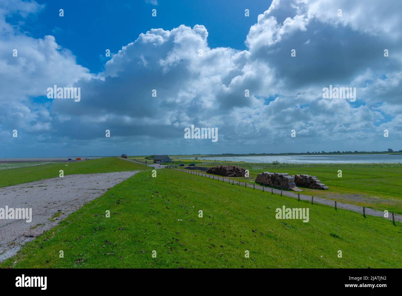 Everschop, Peninsula Eiderstedt, Frisia settentrionale, , Schleswig-Holstein, Germania settentrionale Foto Stock