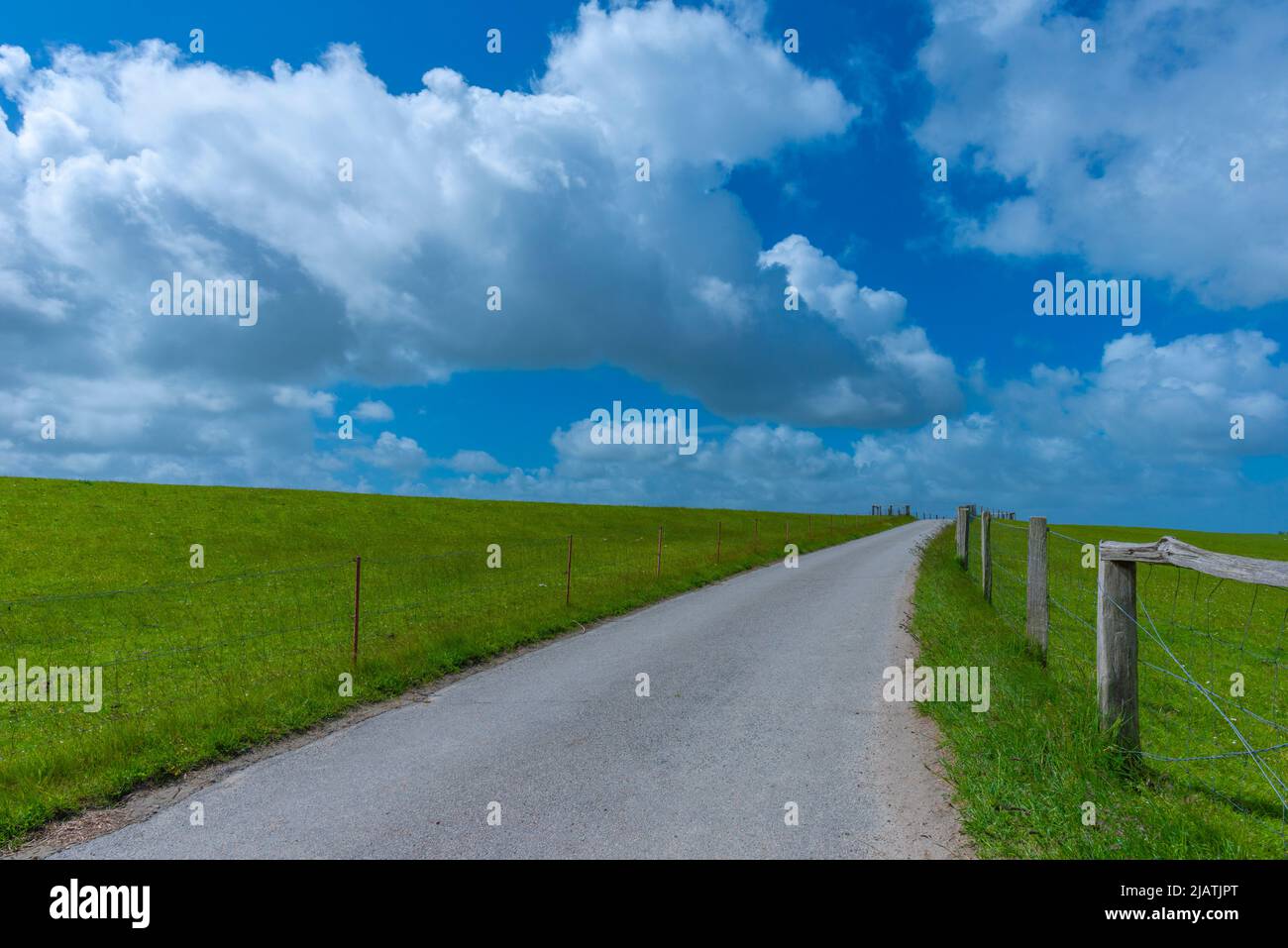 Everschop, Peninsula Eiderstedt, Frisia settentrionale, , Schleswig-Holstein, Germania settentrionale Foto Stock