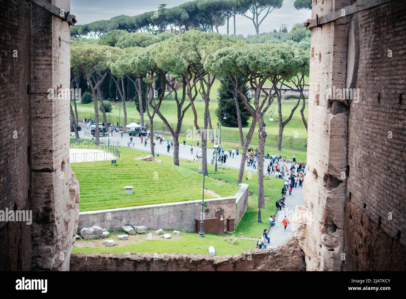 Vista panoramica sui pini di pietra e sulle antiche rovine del centro storico di Roma Foto Stock
