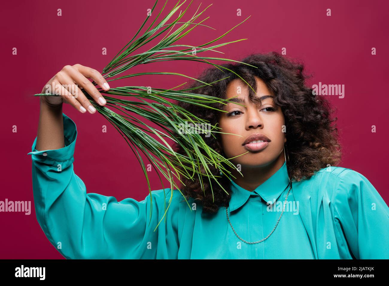 donna ricurly afroamericana in blusa blu che tiene ramo con foglie verdi isolate su rosa Foto Stock