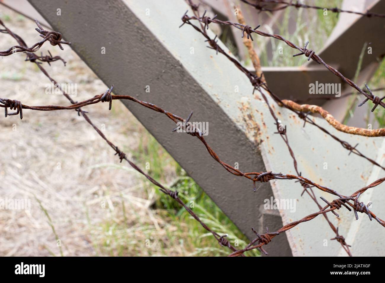 Particolare della barriera anti-vasca hedgehod con filo spinato arrugginito Foto Stock