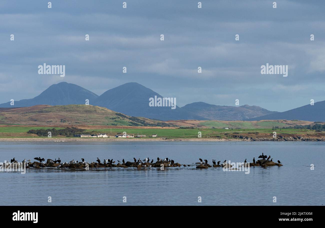 Pap di Giura da Islay Foto Stock