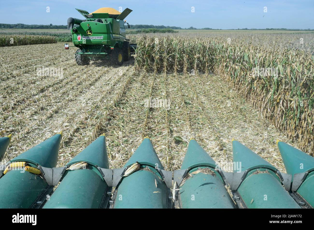 CROAZIA, Osijek, azienda agricola Fermopromet, raccolta mais con mietitrebbia John Deere / KROATIEN, Osijek, Maisernte mit John Deere Mähdrescher des Agrarunternehmens Fermopromet Foto Stock