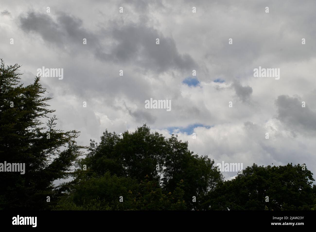 UK Meteo: 1 Giu 2022, Condizioni meteorologiche variabili con nube pesante e docce possibili nel distretto di Teignbridge, Devon Foto Stock