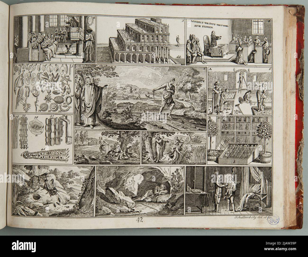 Carta N° 42. Nella parte centrale della scheda la più grande della composizione che mostra Cristo che racconta la parabola del seminatore. Manuel pour l'Inction de la jeunesse coppie Schellenberg Foto Stock