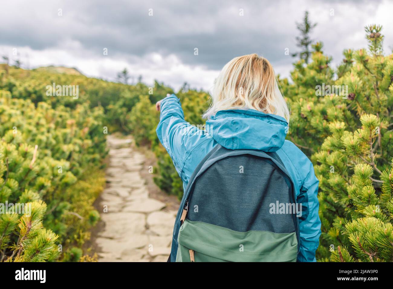 Le donne escursionista o viaggiatore con zaino avventura trova indicazioni per la natura di montagna. Tecnologia internet e concetto di avventura di viaggio. Foto Stock