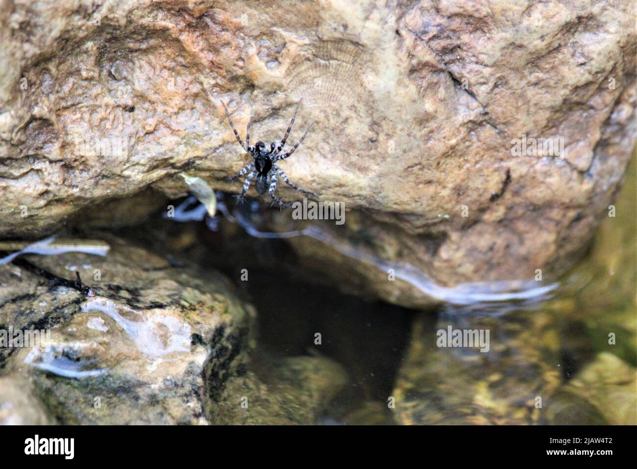 La splendida natura della Lettonia. Foto Stock