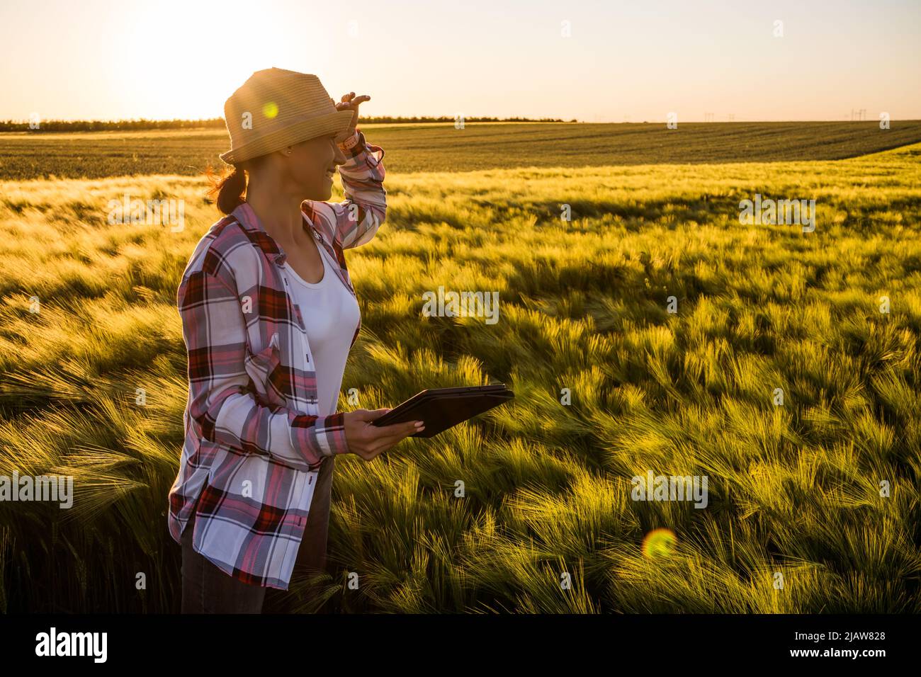 La donna adulta coltiva orzo sulla sua terra. Sta esaminando i progressi delle colture. Foto Stock