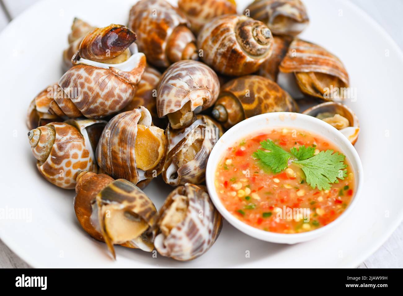 babylon fresco Spoted conchiglia mare limPET oceano gourmet frutti di mare nel ristorante, Babylonia areolata frutti di mare frutti di mare su piatto bianco con salsa di pesce Foto Stock