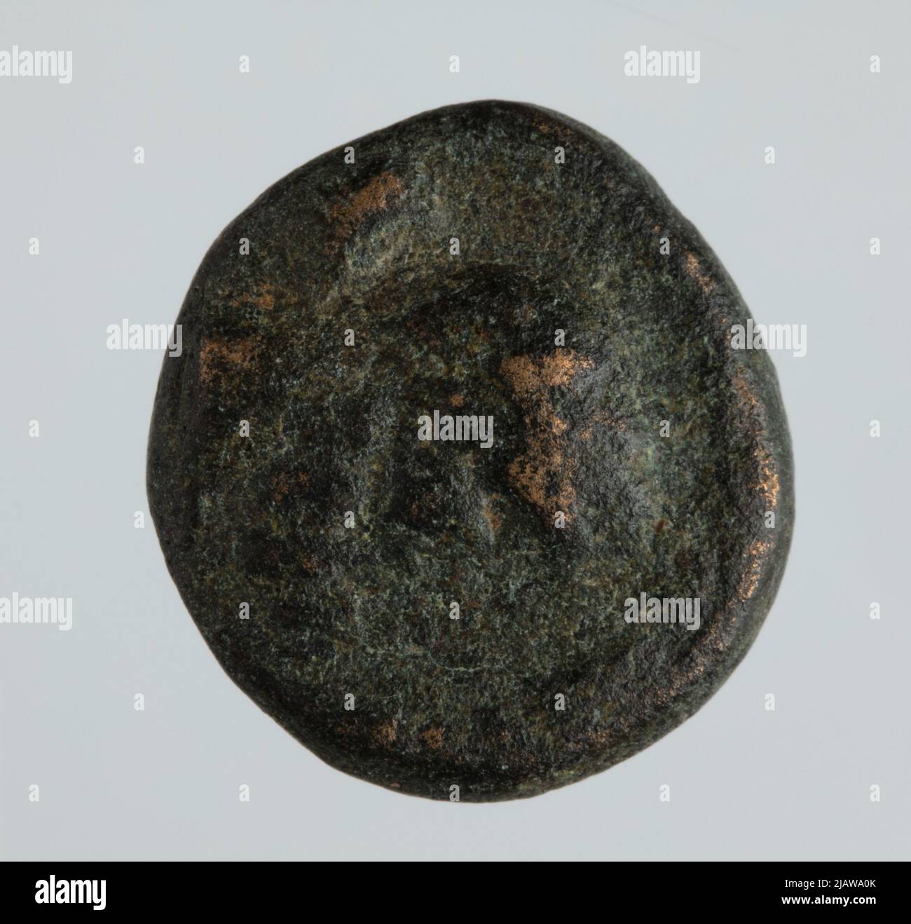 Bliżej Kultury Selge menta Foto Stock