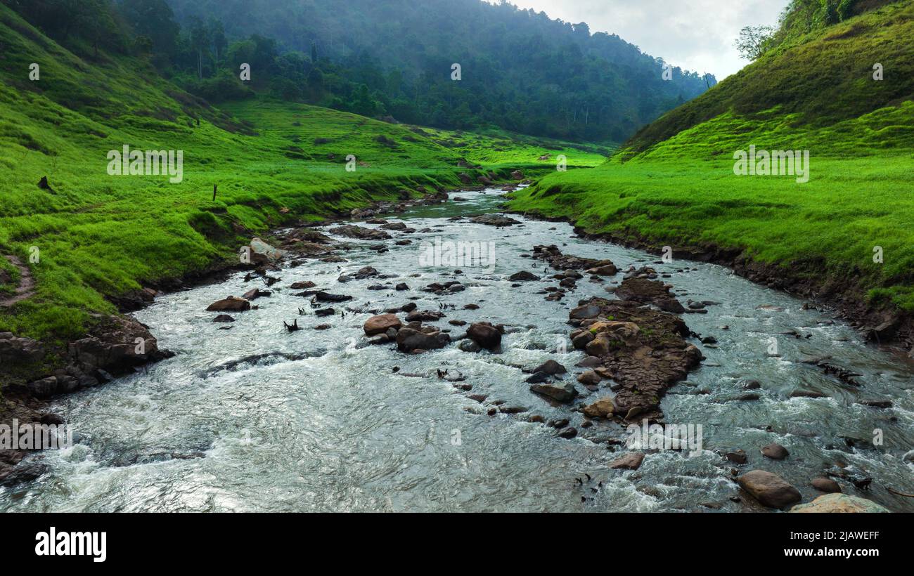 Vista aerea del bel ruscello naturale e campo verde di erba nella foresta selvaggia concetto di montagna viaggio e relax in vacanza. Foto Stock