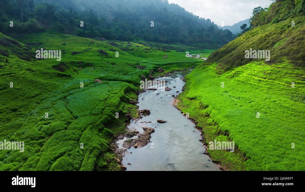 Vista aerea del bel ruscello naturale e campo verde di erba nella foresta selvaggia concetto di montagna viaggio e relax in vacanza. Foto Stock