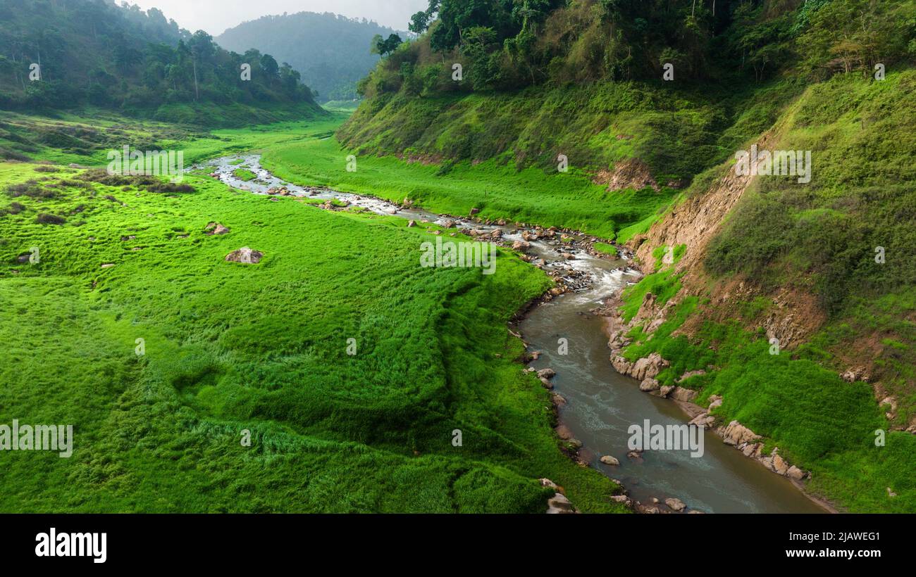 Vista aerea del bel ruscello naturale e campo verde di erba nella foresta selvaggia concetto di montagna viaggio e relax in vacanza. Foto Stock