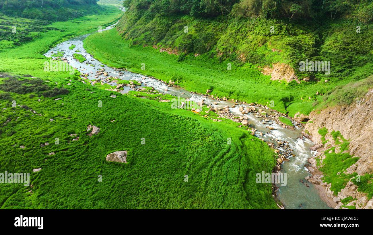 Vista aerea del bel ruscello naturale e campo verde di erba nella foresta selvaggia concetto di montagna viaggio e relax in vacanza. Foto Stock
