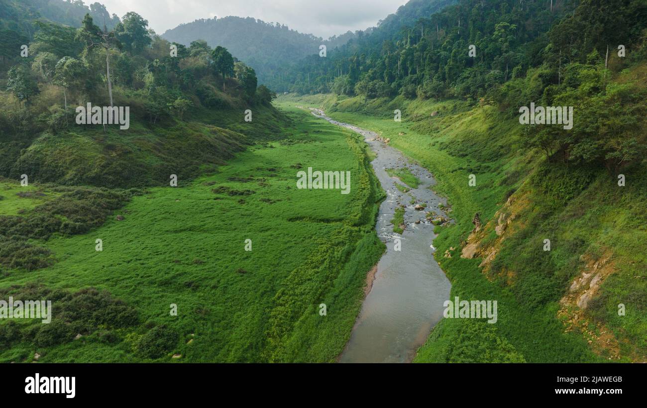 Vista aerea del bel ruscello naturale e campo verde di erba nella foresta selvaggia concetto di montagna viaggio e relax in vacanza. Foto Stock