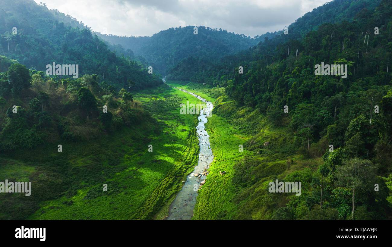 Vista aerea del bel ruscello naturale e campo verde di erba nella foresta selvaggia concetto di montagna viaggio e relax in vacanza. Foto Stock