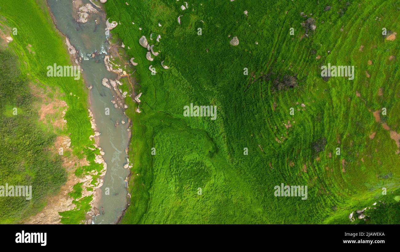 Vista aerea del bel ruscello naturale e campo verde di erba nella foresta selvaggia concetto di montagna viaggio e relax in vacanza. Foto Stock