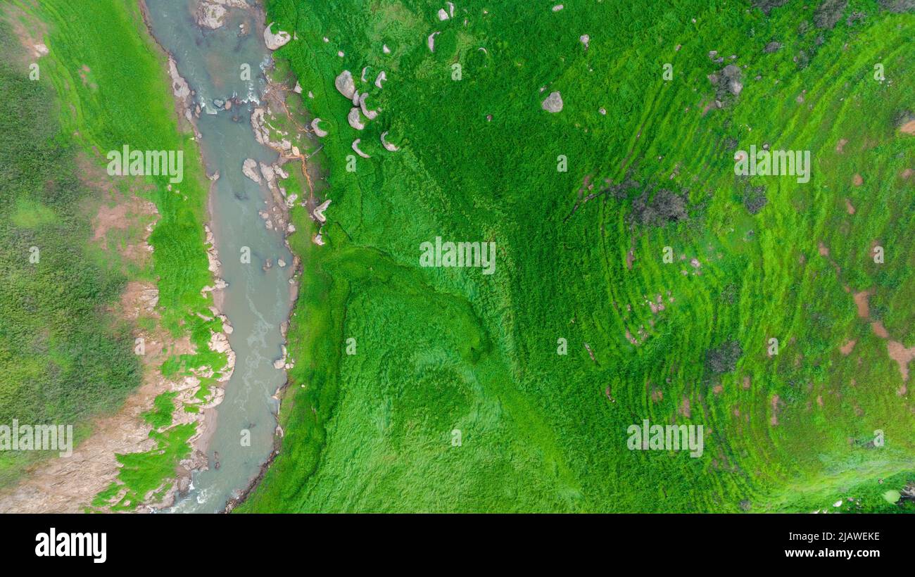 Vista aerea del bel ruscello naturale e campo verde di erba nella foresta selvaggia concetto di montagna viaggio e relax in vacanza. Foto Stock