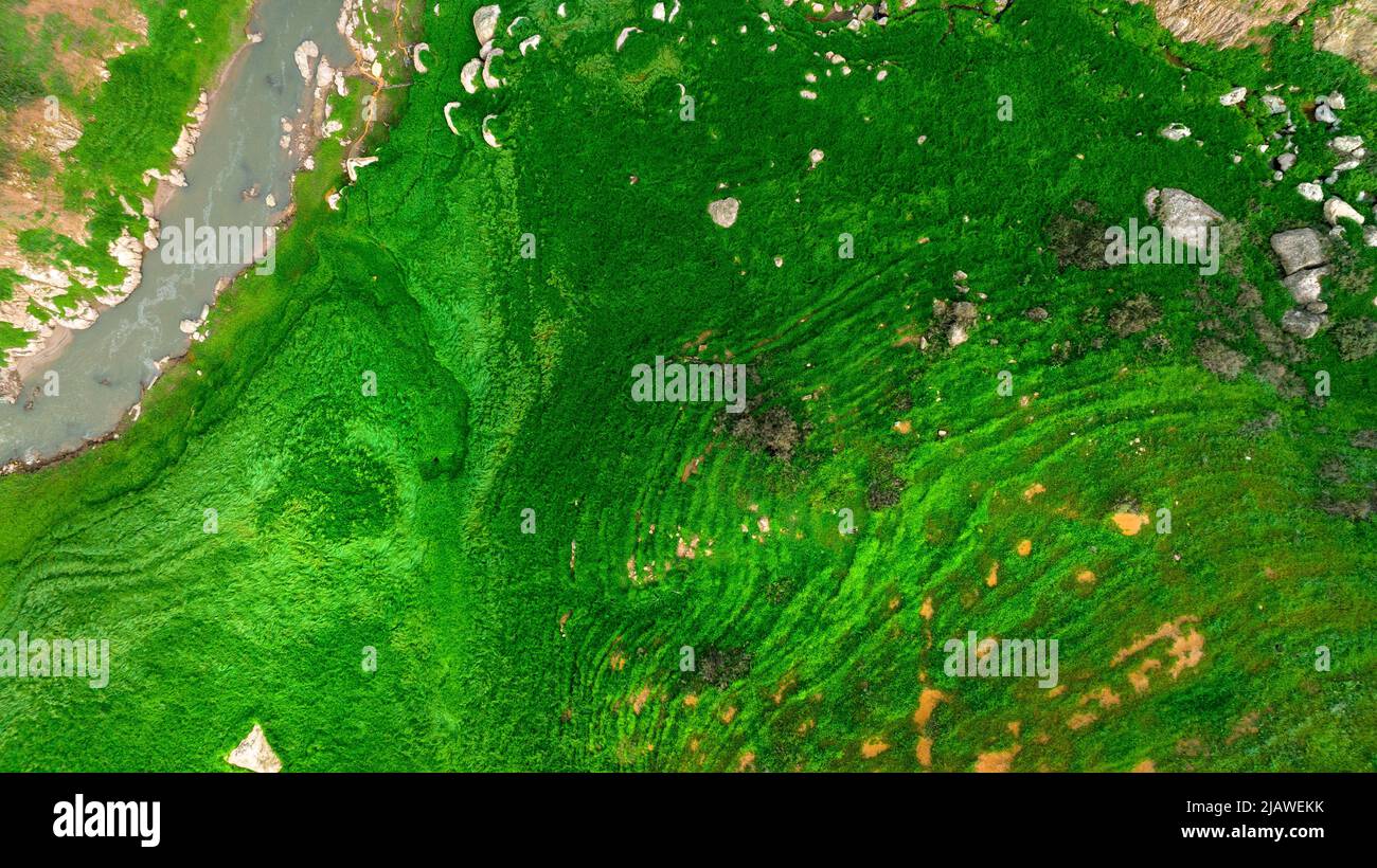 Vista aerea del bel ruscello naturale e campo verde di erba nella foresta selvaggia concetto di montagna viaggio e relax in vacanza. Foto Stock