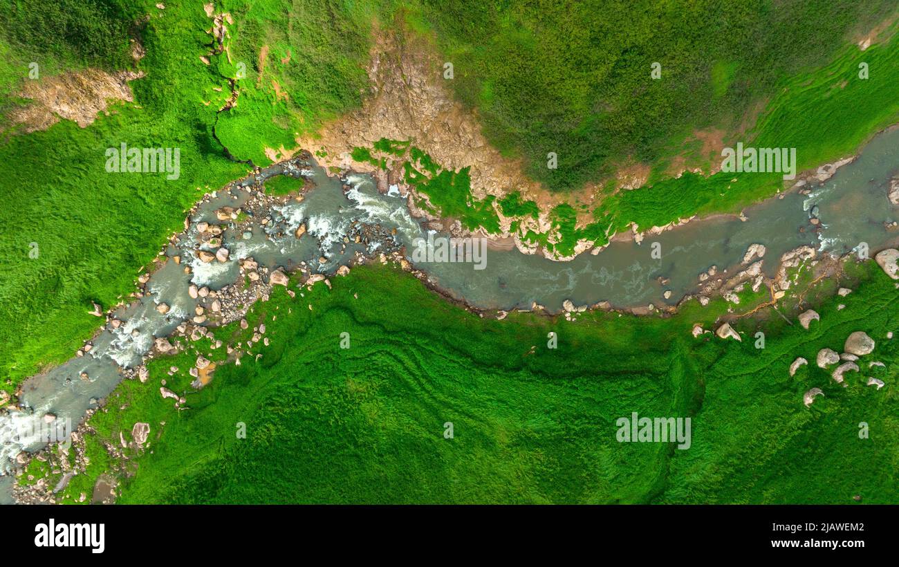 Vista aerea del bel ruscello naturale e campo verde di erba nella foresta selvaggia concetto di montagna viaggio e relax in vacanza. Foto Stock