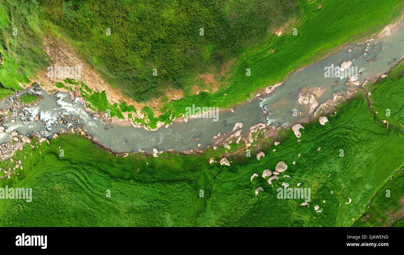 Vista aerea del bel ruscello naturale e campo verde di erba nella foresta selvaggia concetto di montagna viaggio e relax in vacanza. Foto Stock