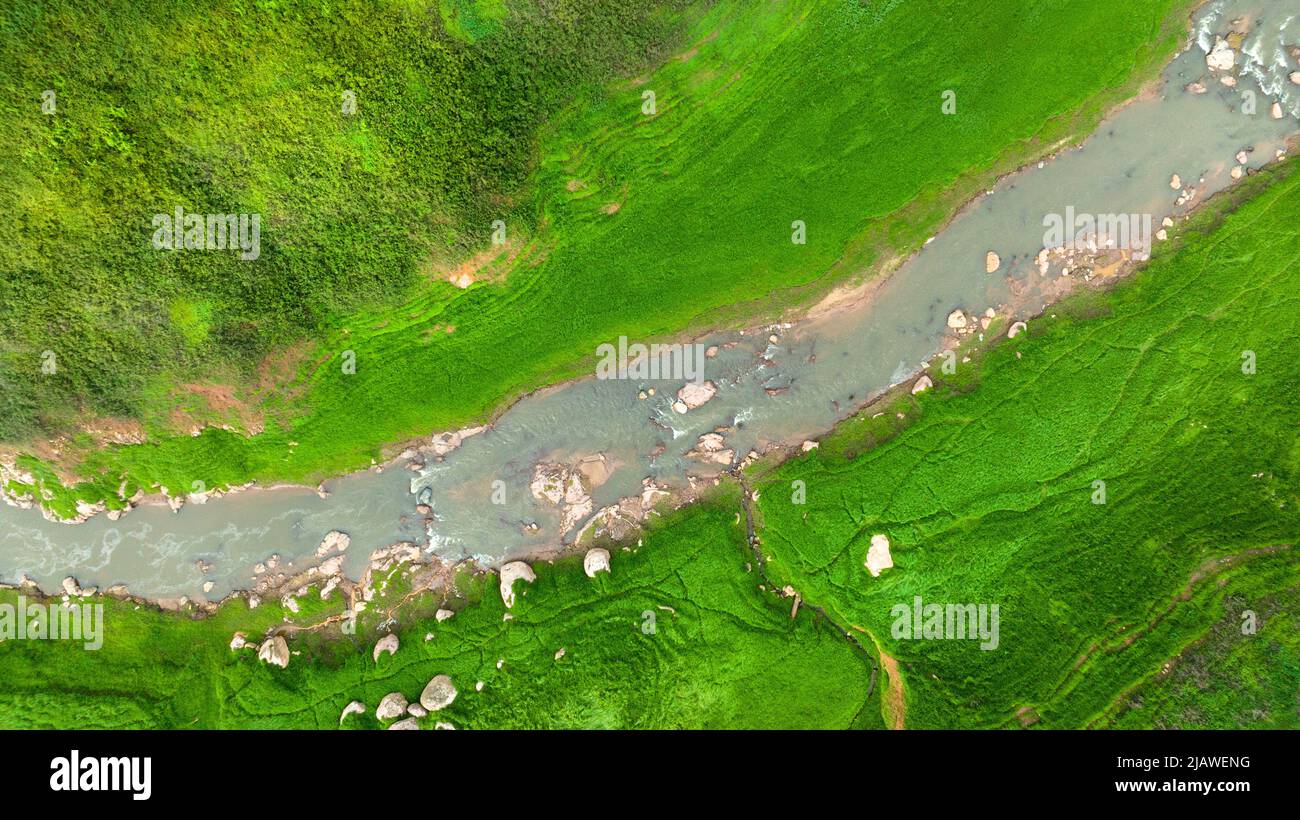 Vista aerea del bel ruscello naturale e campo verde di erba nella foresta selvaggia concetto di montagna viaggio e relax in vacanza. Foto Stock