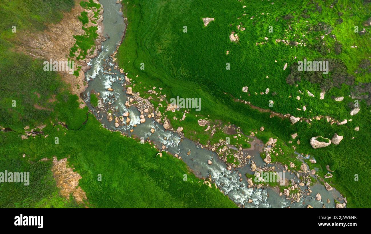 Vista aerea del bel ruscello naturale e campo verde di erba nella foresta selvaggia concetto di montagna viaggio e relax in vacanza. Foto Stock
