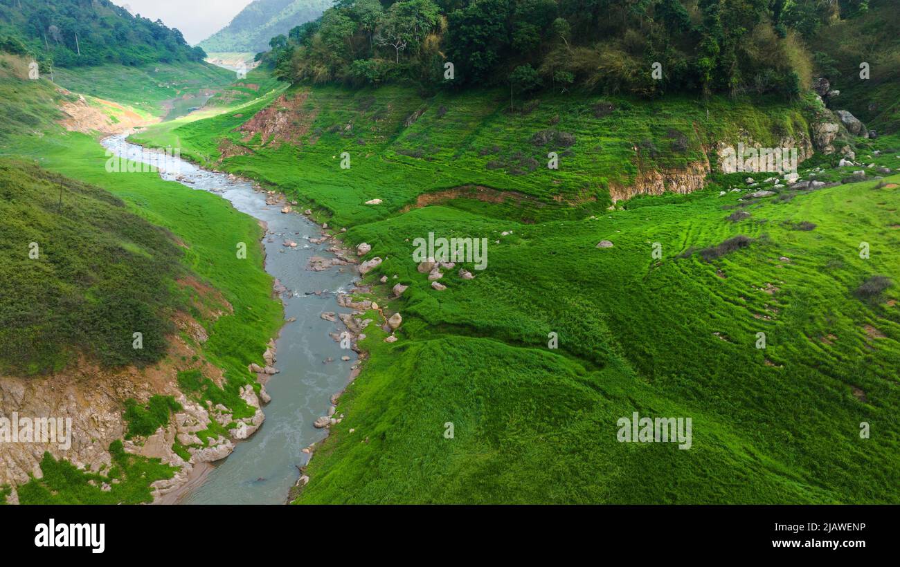 Vista aerea del bel ruscello naturale e campo verde di erba nella foresta selvaggia concetto di montagna viaggio e relax in vacanza. Foto Stock