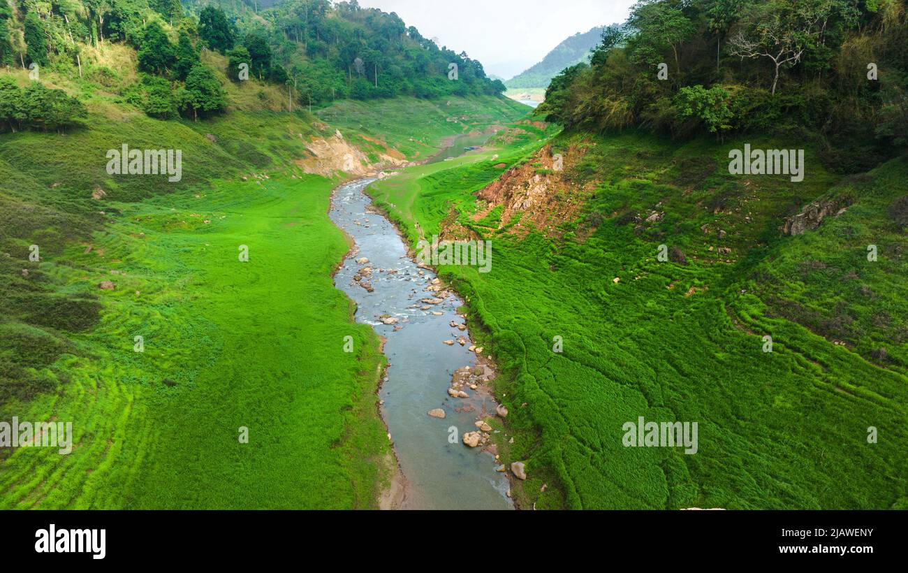 Vista aerea del bel ruscello naturale e campo verde di erba nella foresta selvaggia concetto di montagna viaggio e relax in vacanza. Foto Stock