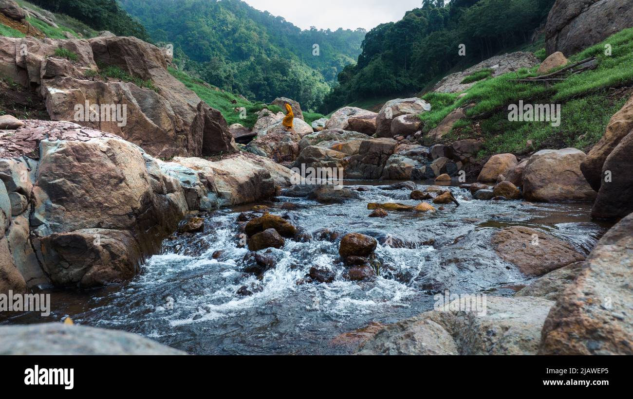 Vista aerea del bel ruscello naturale e campo verde di erba nella foresta selvaggia concetto di montagna viaggio e relax in vacanza. Foto Stock