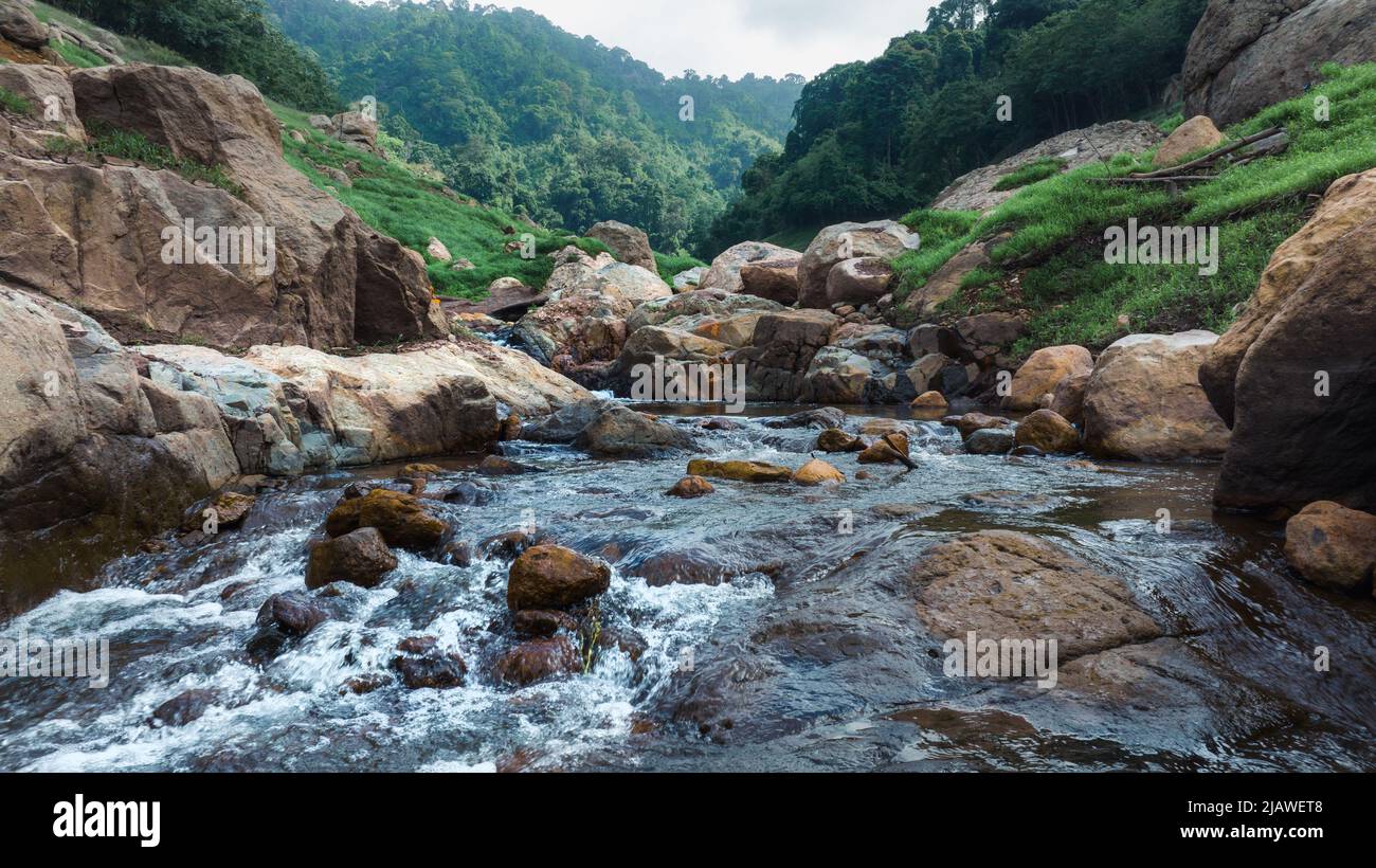 Vista aerea del bel ruscello naturale e campo verde di erba nella foresta selvaggia concetto di montagna viaggio e relax in vacanza. Foto Stock