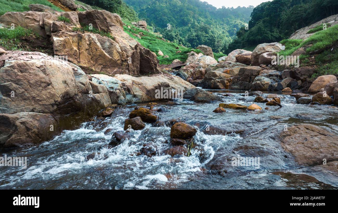 Vista aerea del bel ruscello naturale e campo verde di erba nella foresta selvaggia concetto di montagna viaggio e relax in vacanza. Foto Stock