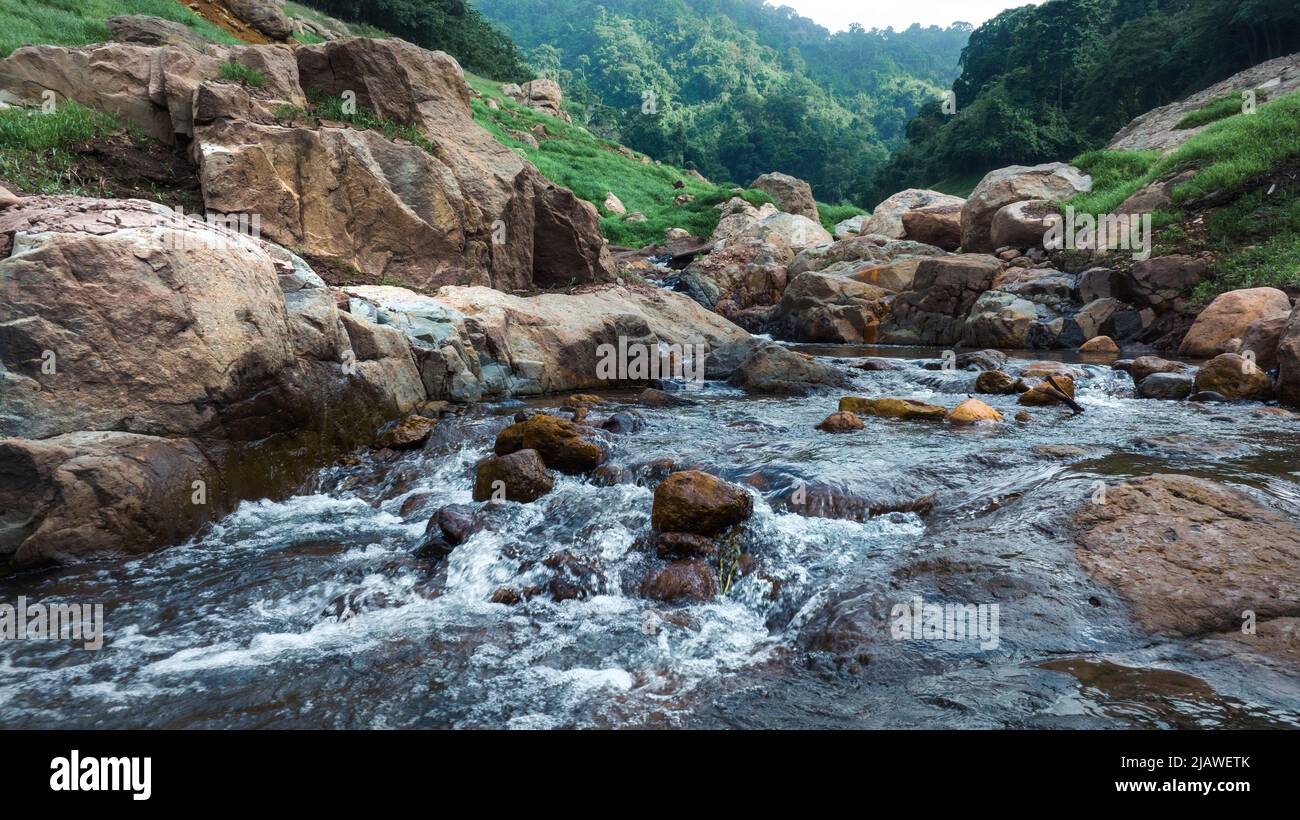 Vista aerea del bel ruscello naturale e campo verde di erba nella foresta selvaggia concetto di montagna viaggio e relax in vacanza. Foto Stock