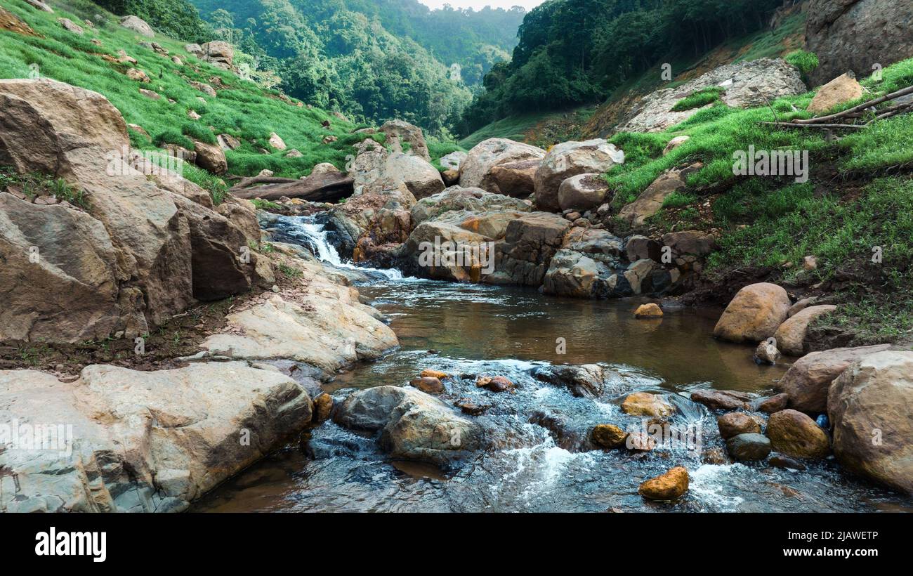 Vista aerea del bel ruscello naturale e campo verde di erba nella foresta selvaggia concetto di montagna viaggio e relax in vacanza. Foto Stock