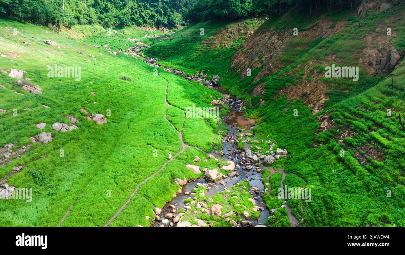 Vista aerea del bel ruscello naturale e campo verde di erba nella foresta selvaggia concetto di montagna viaggio e relax in vacanza. Foto Stock