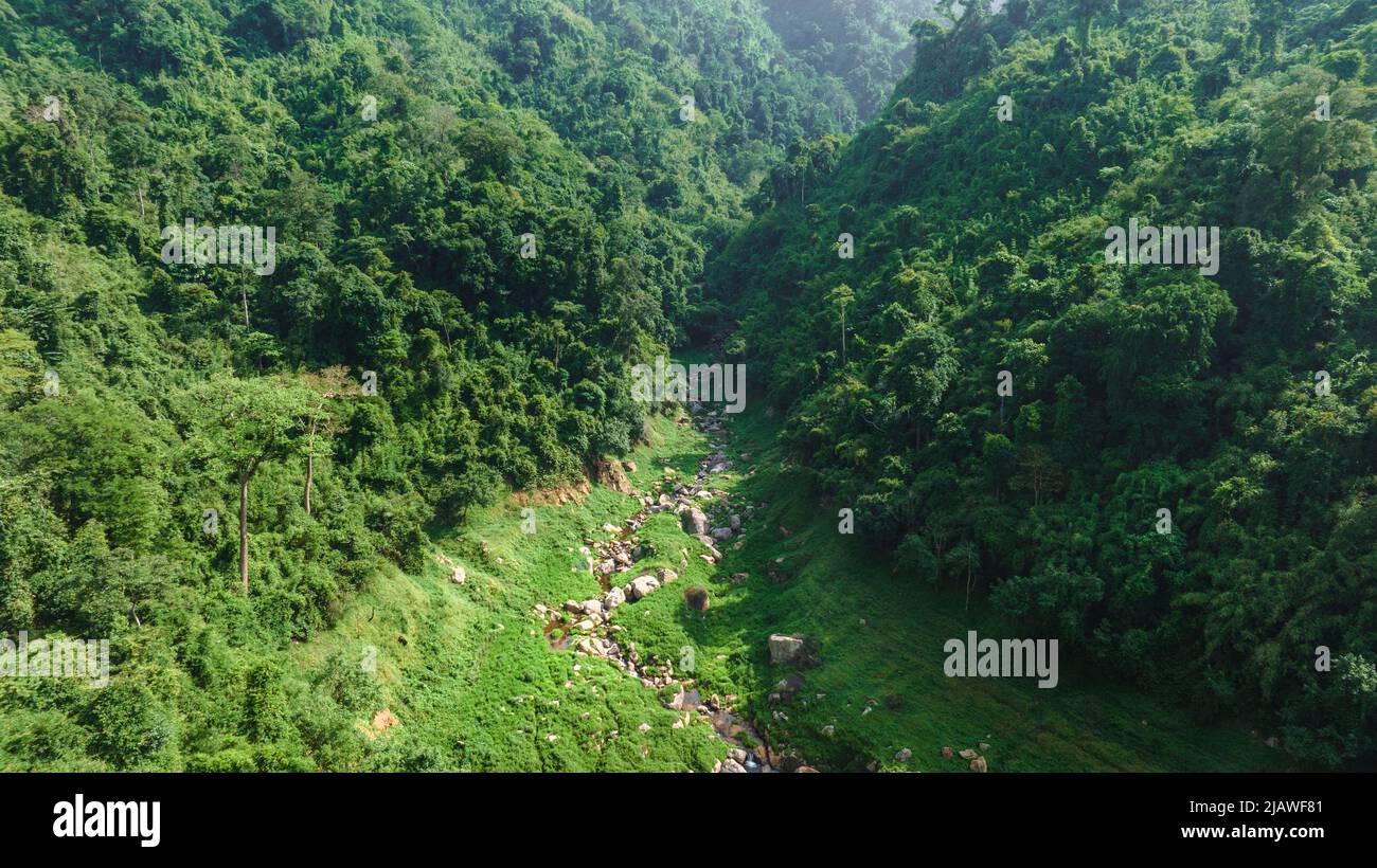 Vista aerea del bel ruscello naturale e campo verde di erba nella foresta selvaggia concetto di montagna viaggio e relax in vacanza. Foto Stock