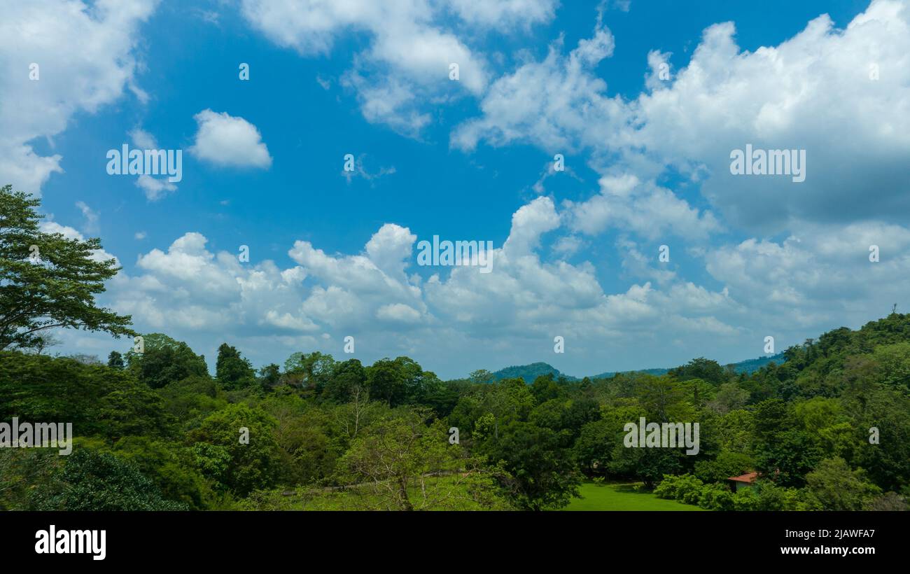 Vista aerea del bellissimo campo verde naturale di erba nella foresta selvaggia montagna su cielo blu nuvola concetto di viaggio e relax in vacanza tempo. Foto Stock