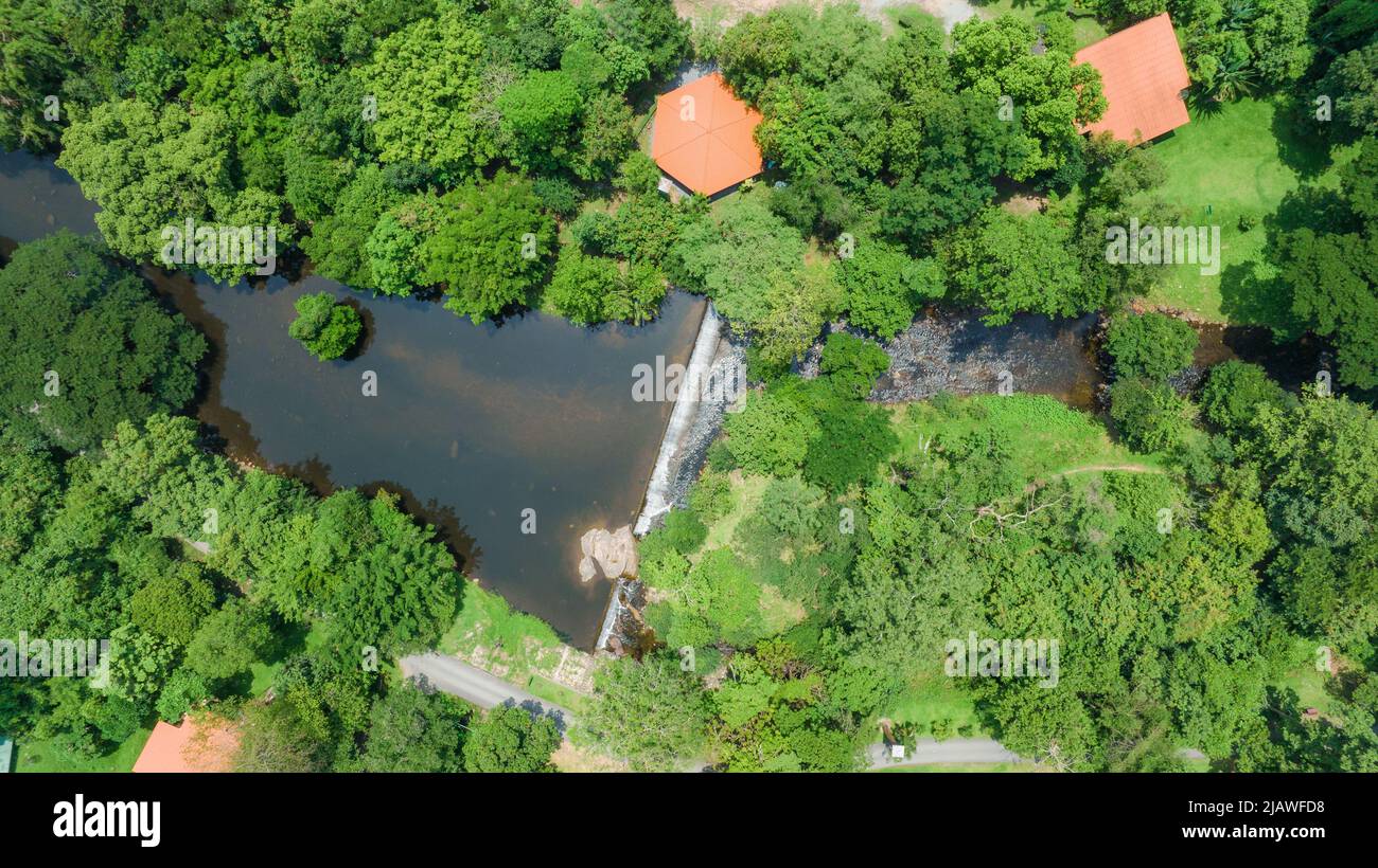 Vista aerea del bel ruscello naturale e campo verde di erba nella foresta selvaggia concetto di montagna viaggio e relax in vacanza. Foto Stock
