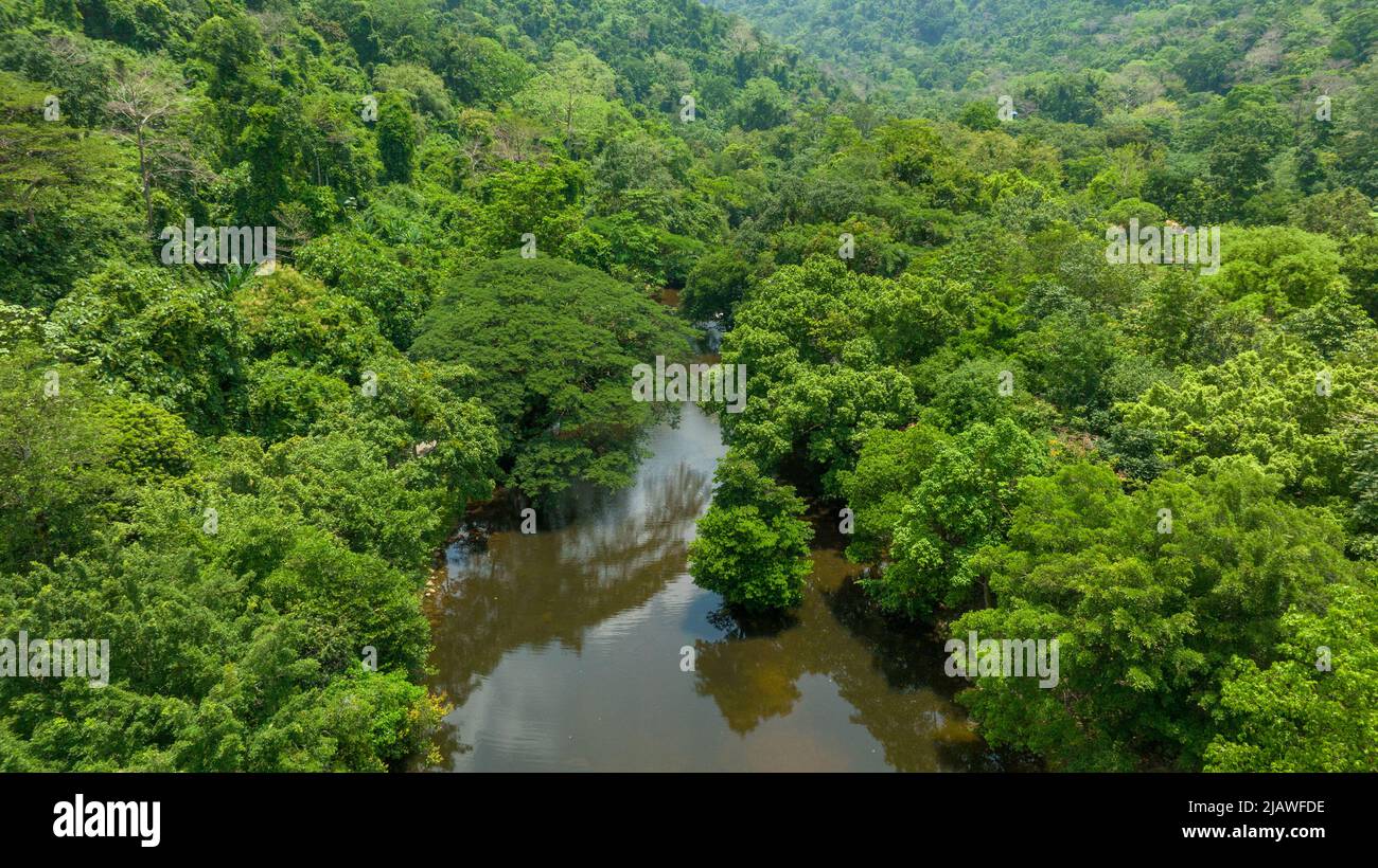 Vista aerea del bel ruscello naturale e campo verde di erba nella foresta selvaggia concetto di montagna viaggio e relax in vacanza. Foto Stock