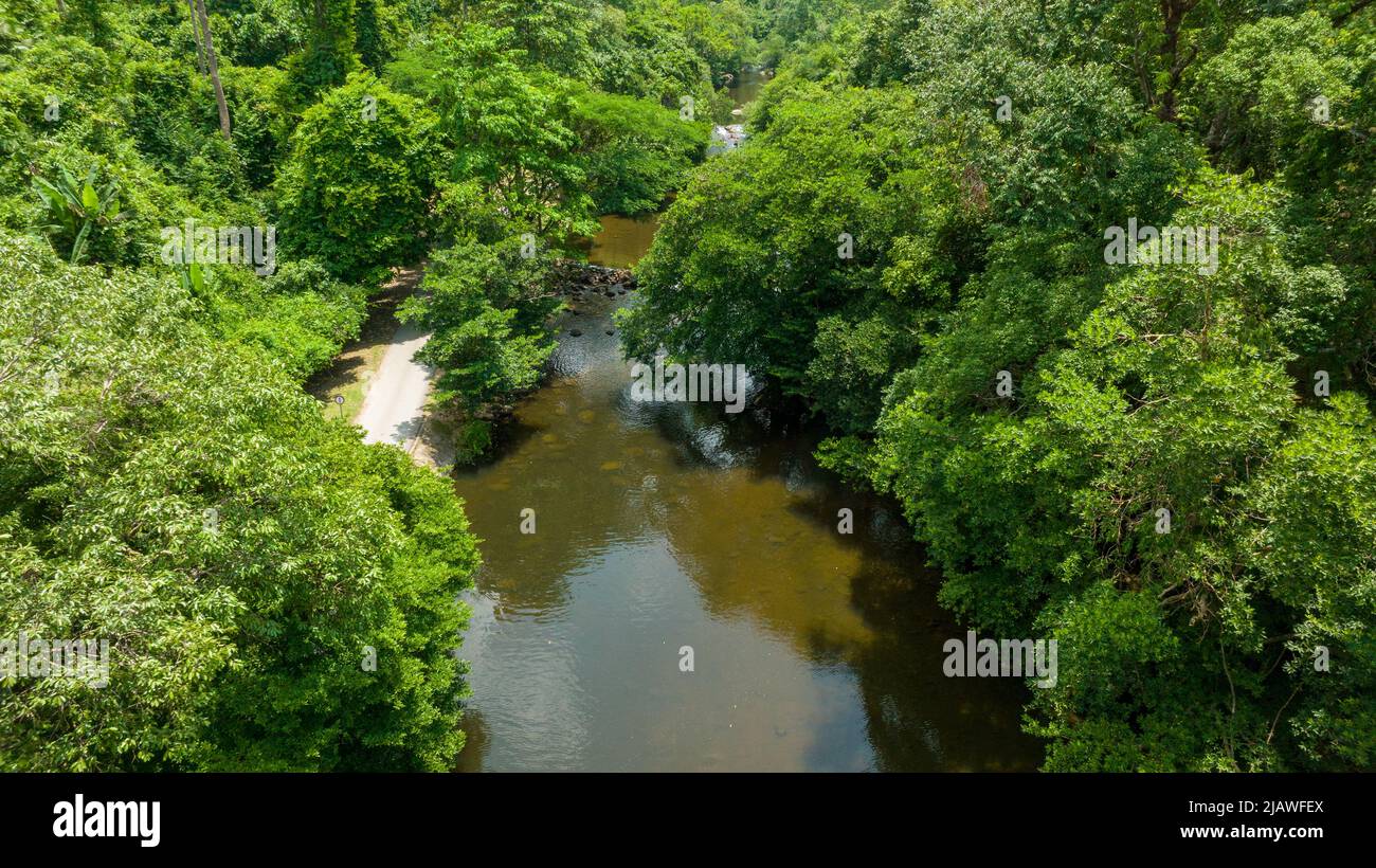 Vista aerea del bel ruscello naturale e campo verde di erba nella foresta selvaggia concetto di montagna viaggio e relax in vacanza. Foto Stock