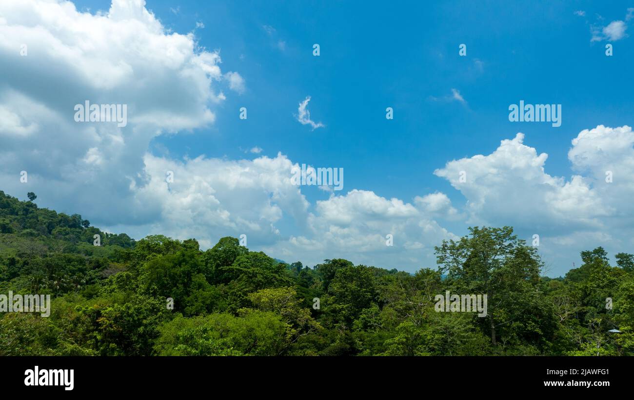 Vista aerea del bellissimo campo verde naturale di erba nella foresta selvaggia montagna su cielo blu nuvola concetto di viaggio e relax in vacanza tempo. Foto Stock