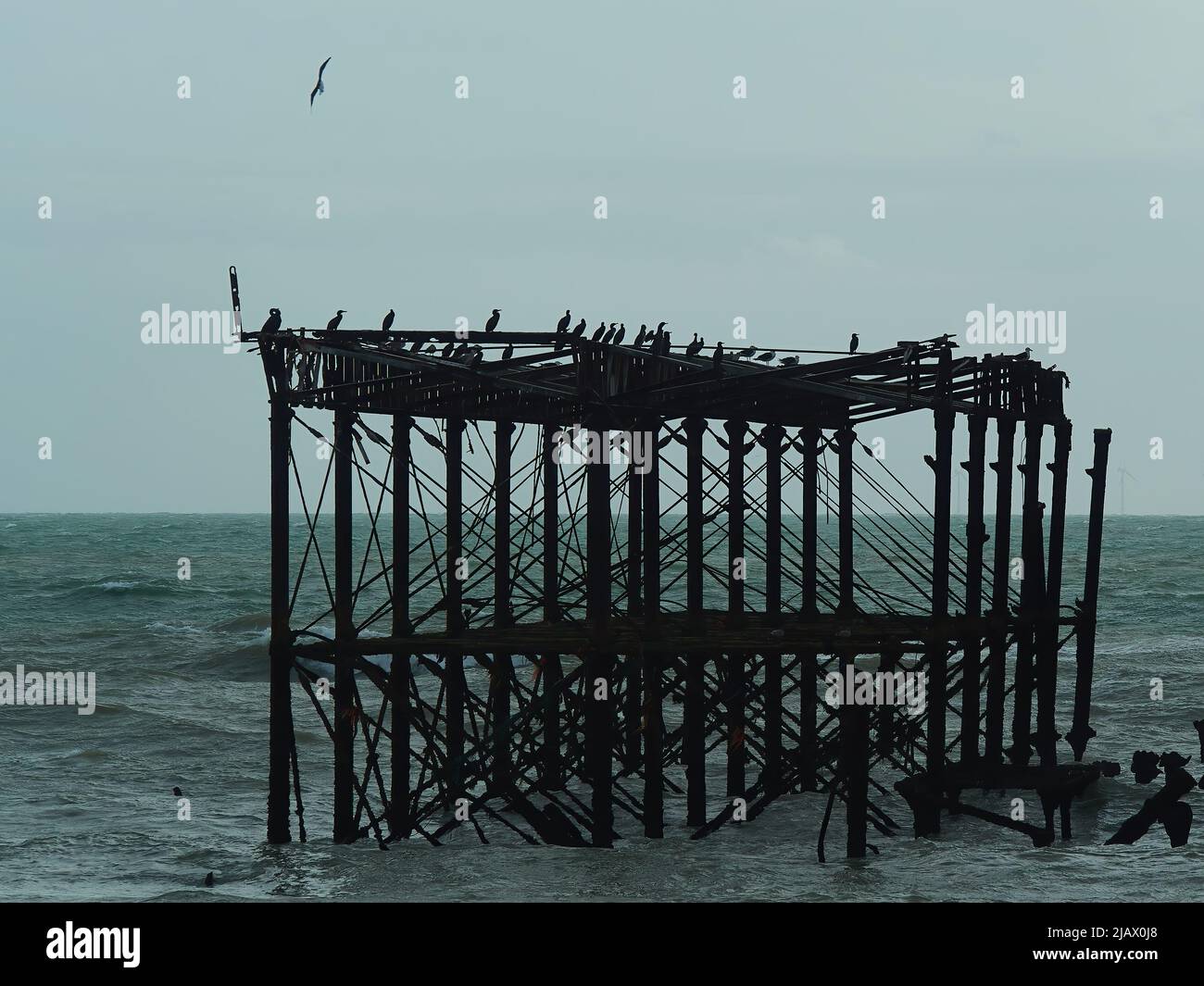 I resti scheletrici del rovinato West Pier al largo di Brighton Beach, ora colonizzato da uccelli marini, gabbiani e cormorani, che si rifugiano dai mari accidentati. Foto Stock