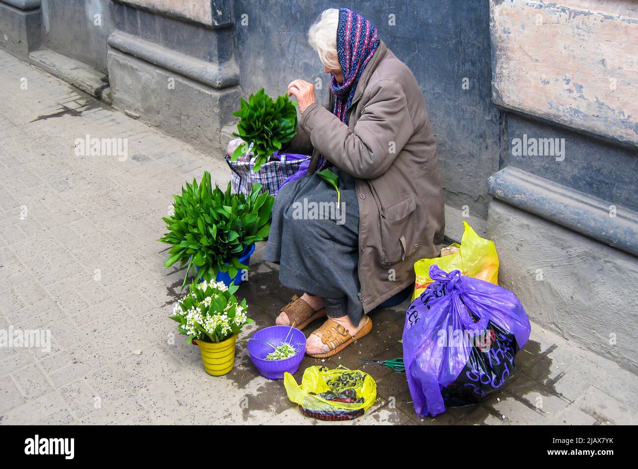 Signora Ucraina, venditore di strada, sul sentiero a Lviv, Ucraina Foto Stock