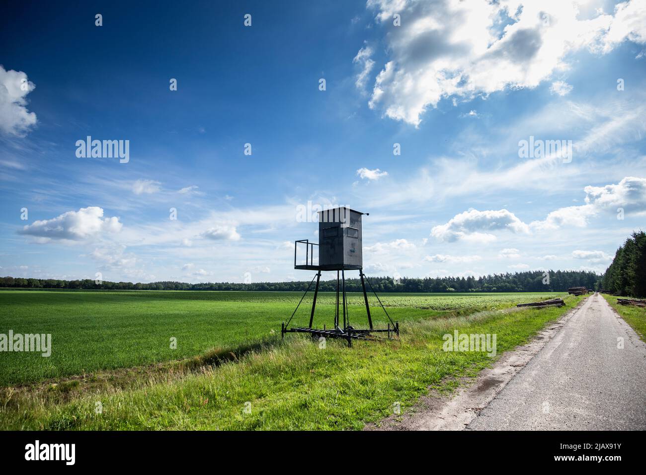 Paesaggio di Drenthe con un'alta cabina di caccia per cervi di caccia con una buona vista sui campi pianeggianti e i prati circostanti Foto Stock