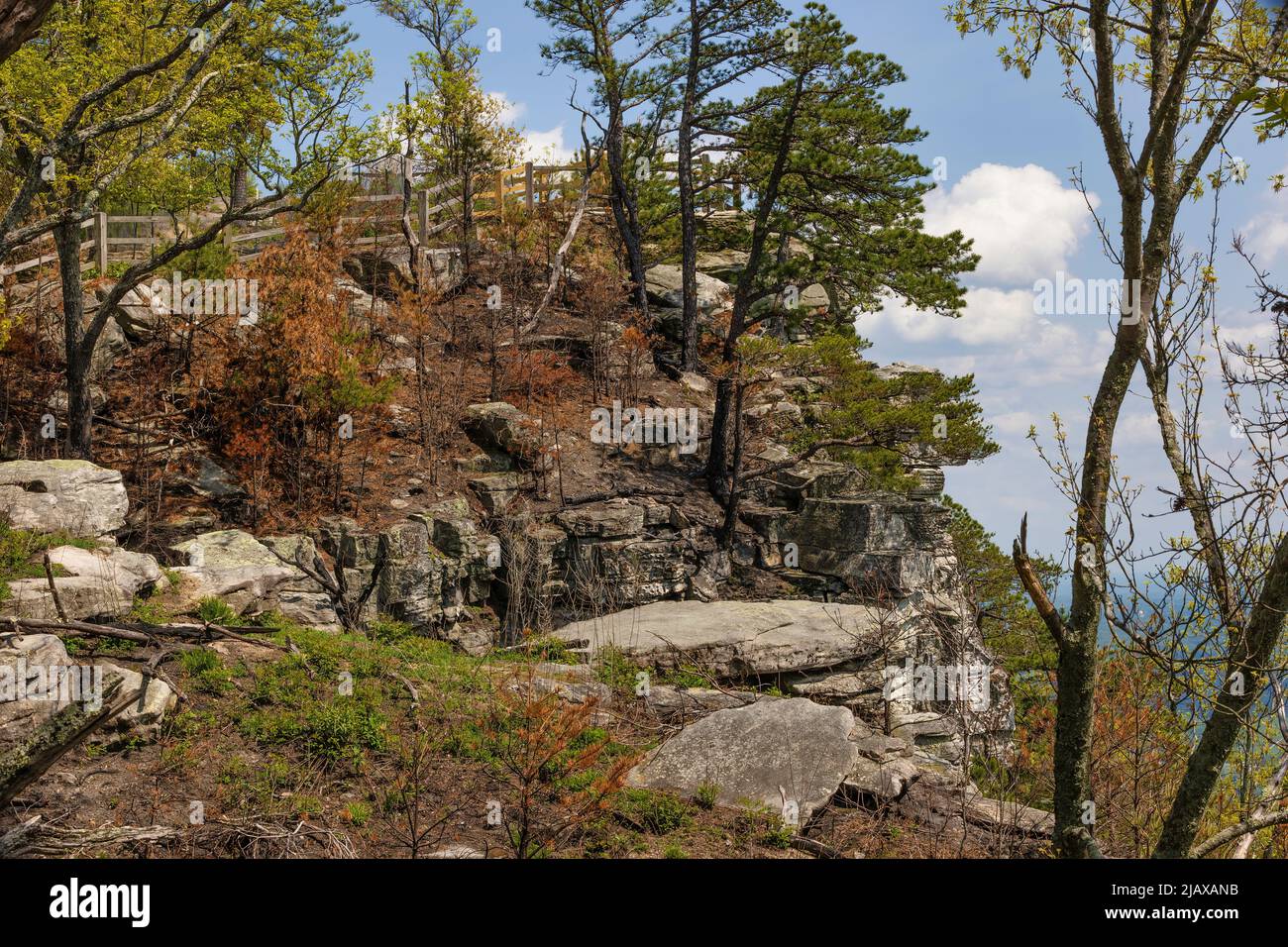 Pilot Mountains, a 2421 metri sul livello del mare, è ciò che rimane dell'antica catena di Sauratown Mountain nel North Carolina. Foto Stock