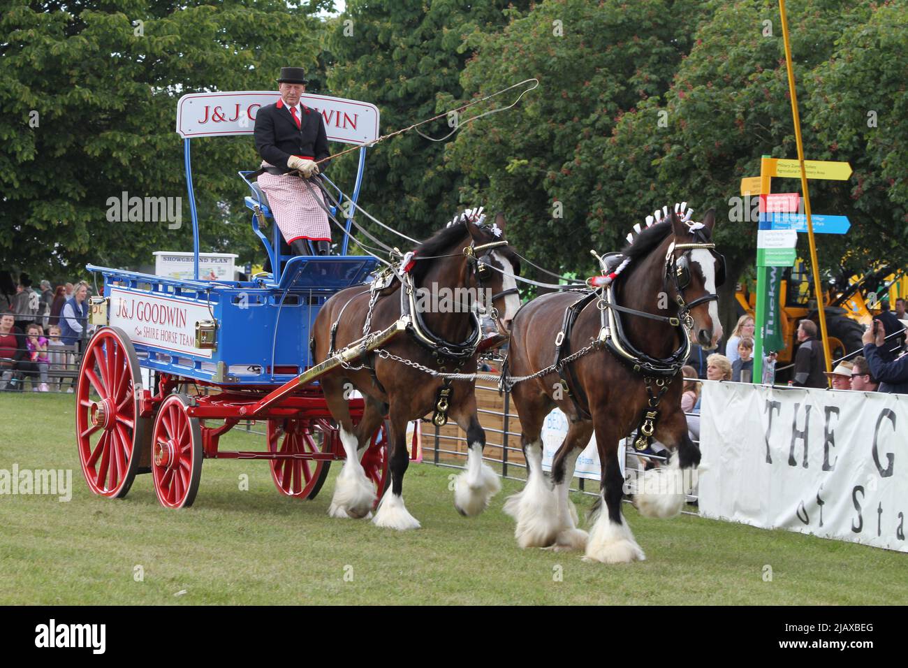 Ipswich, Regno Unito. 01st Giu 2022. Dopo essere stato cancellato nel 2020 e nel 2021 a causa di restrizioni Covid il Suffolk Show ritorna a Ipswich. Il campionato di affluenza Heavy Horse nell'anello del presidente. Credit: Eastern views/Alamy Live News Foto Stock