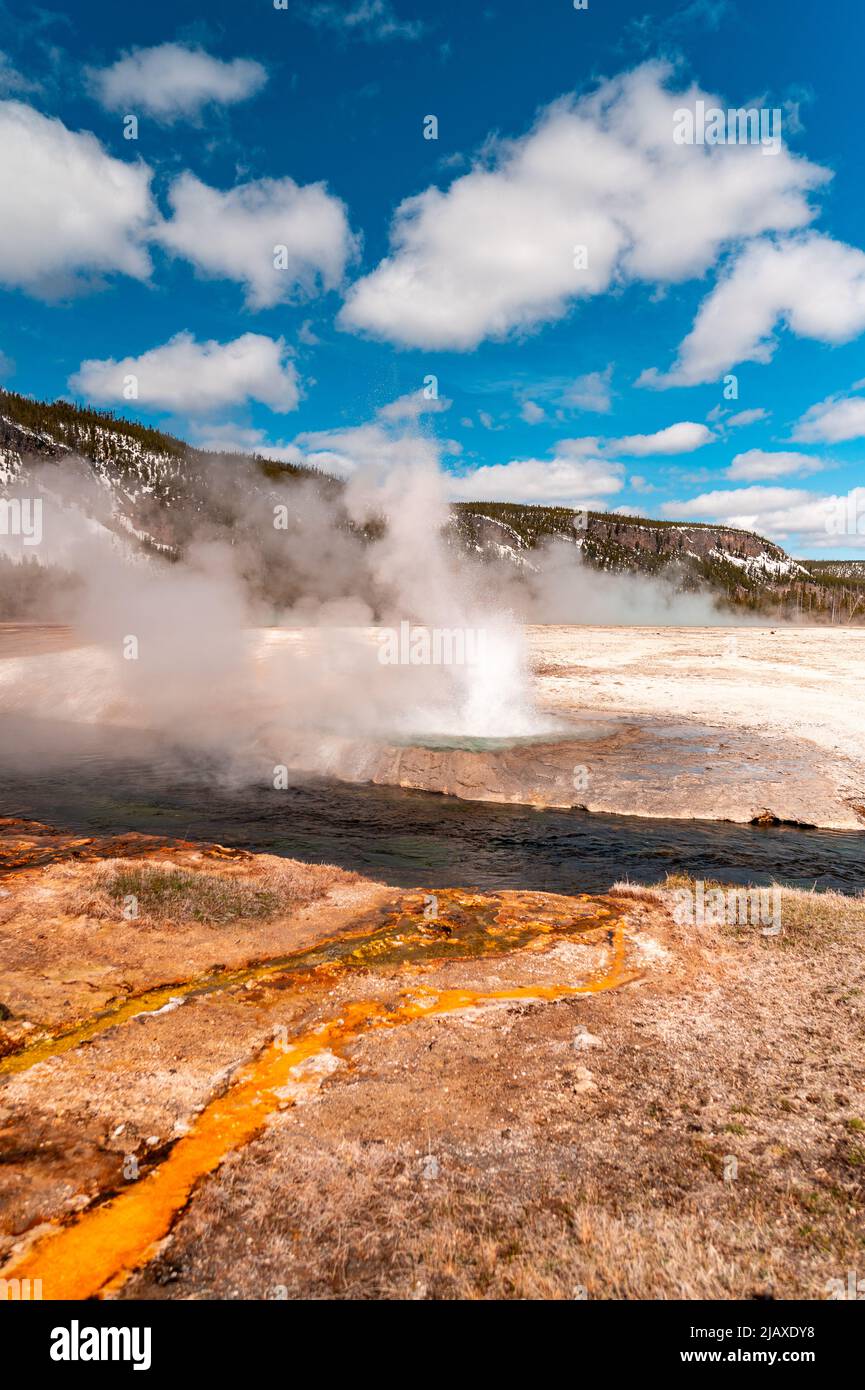 Un geyser eruttante nel parco nazionale di Yellowstone Foto Stock