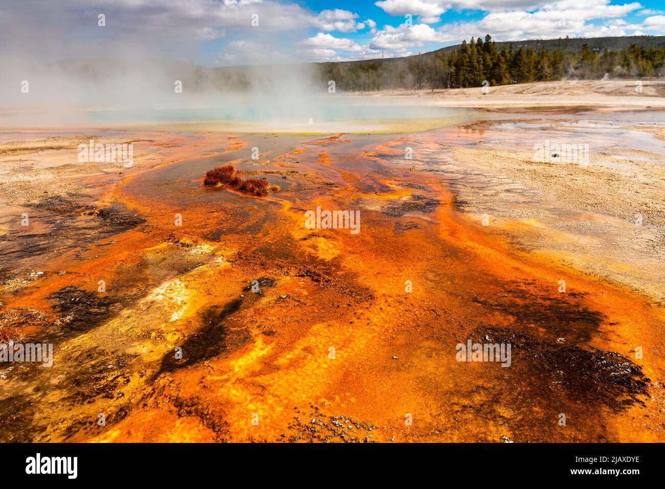 thermo Spring al parco nazionale di Yellowstone Foto Stock