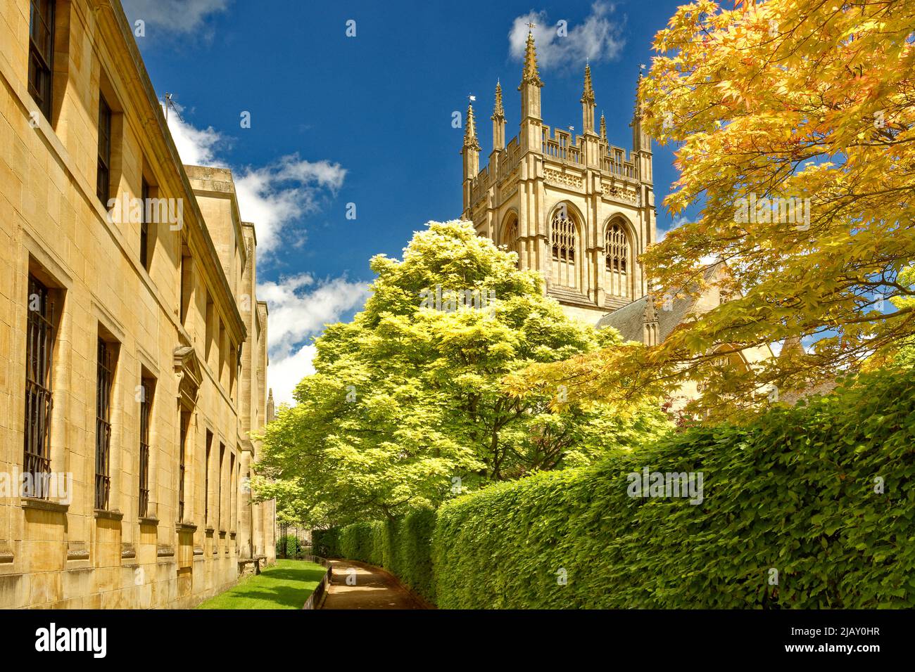 OXFORD CITY MERTON COLLEGE CHAPEL AND TOWER VISTO DA GROVE WALK IN PRIMAVERA Foto Stock