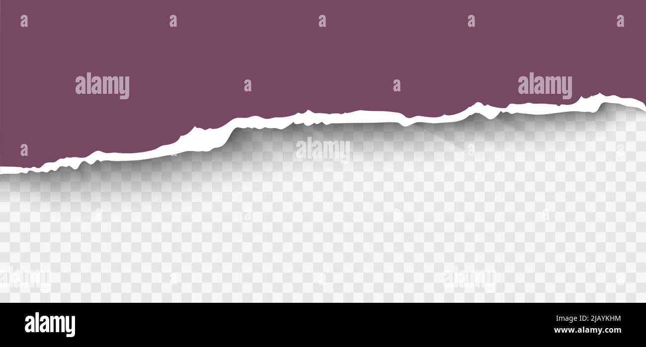 Illustrazione vettoriale realistica della carta strappata. Composizione di carta strappata con spazio per il tuo disegno. Illustrazione Vettoriale